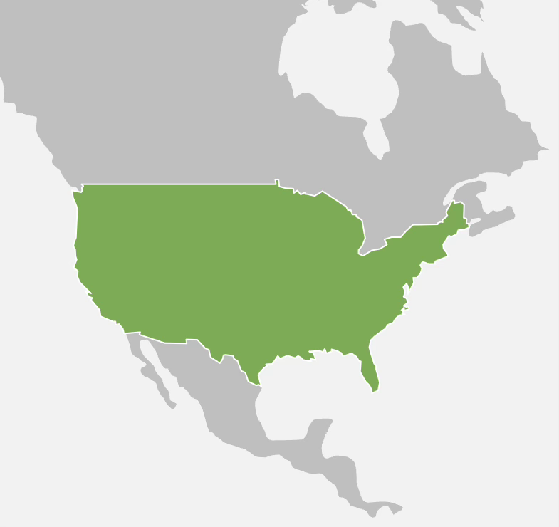 Usa